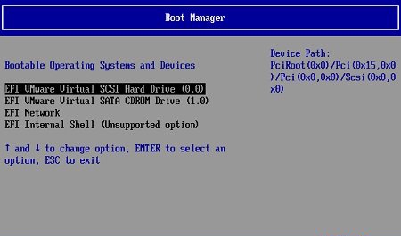 设置VMware启动进入BIOS以及对UEFI的支持