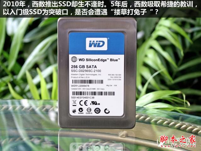 SSD固态硬盘真的能淘汰机械硬盘吗？