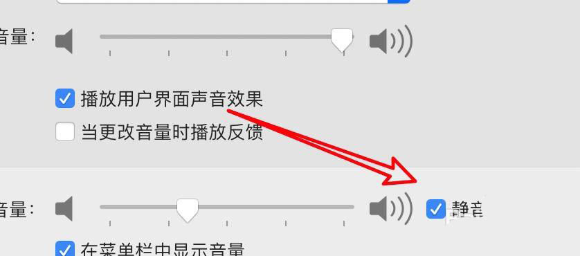 mac系统电脑怎么静音? mac电脑静音的技巧