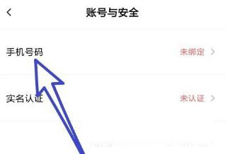 faceu激萌怎么绑定手机号、实名认证？faceu激萌绑定手机号/实名认证图文教程