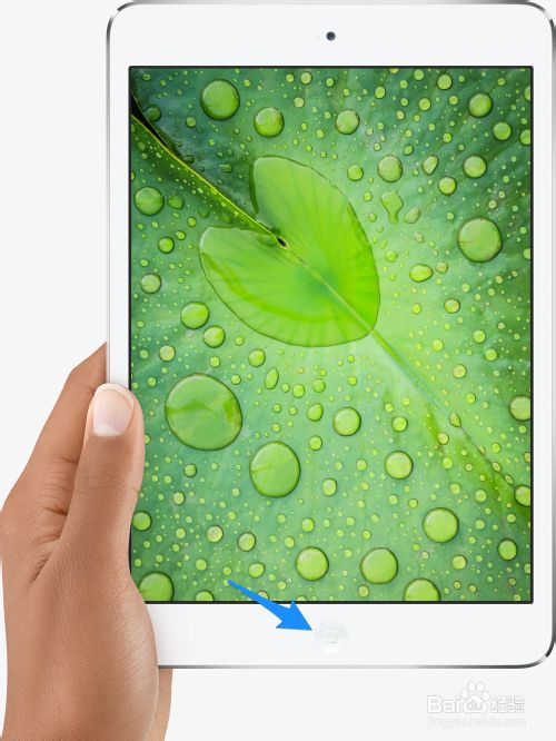 iPad mini2键盘中哪个键是退出和返回