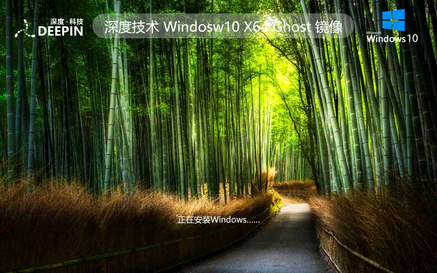 深度技術WINDOWS10企業(yè)版 最新穩(wěn)定系統(tǒng) X64位 V2022.04下載