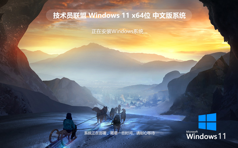 技術員聯盟windows11專業(yè)版 永久免費 X64位 V2022.07下載