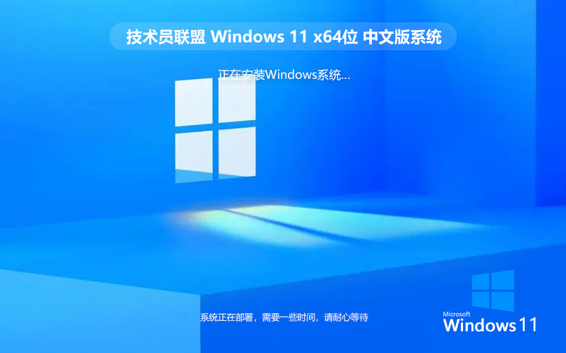 技術(shù)員聯(lián)盟Windows11裝機版 ghost系統(tǒng) X64位 WIN11專業(yè)版系統(tǒng)下載