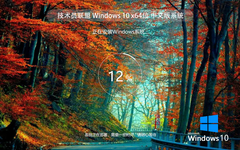 技術員聯(lián)盟Win10旗艦版 簡體中文 ghost鏡像 ISO v2022.07 下載