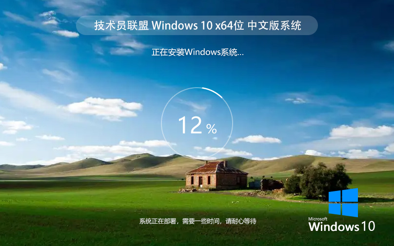 技術(shù)員聯(lián)盟Windows10精簡(jiǎn)版 娛樂(lè)家用筆記本都適用 ghost鏡像 ISO v2022.07 下載