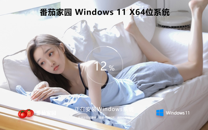 Win11專業(yè)版系統(tǒng)下載 番茄花園windows11 ghost系統(tǒng) ISO鏡像 X64位