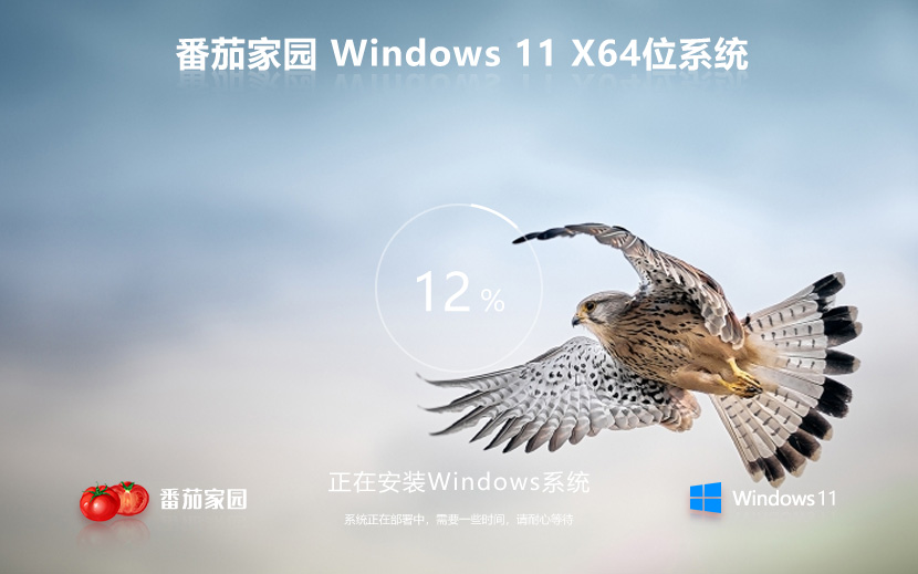 Windows11下載專(zhuān)業(yè)版番茄花園 聯(lián)想戴爾等筆記本專(zhuān)用ghost系統(tǒng) ISO鏡像 X64位