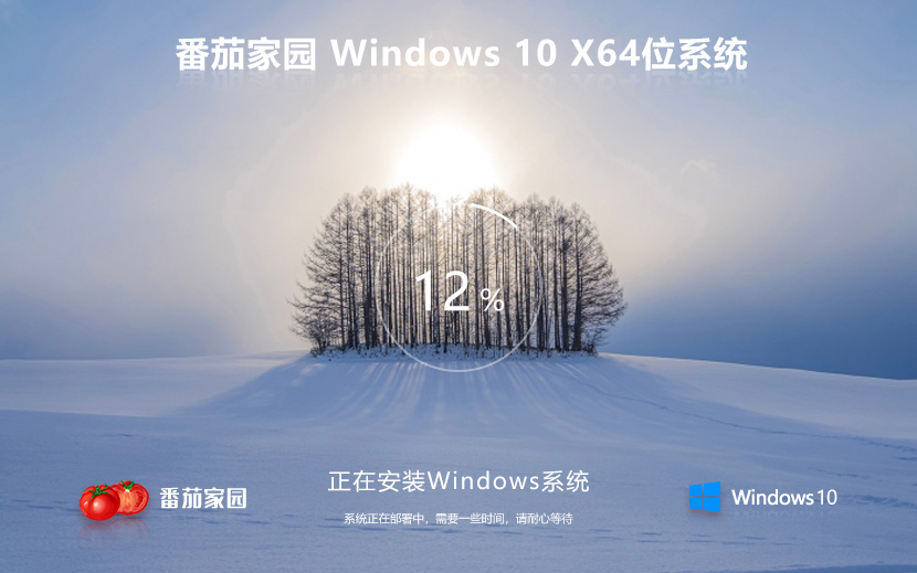 Win10企業(yè)版系統下載 番茄花園win10企業(yè)版ghost鏡像 ISO x64位