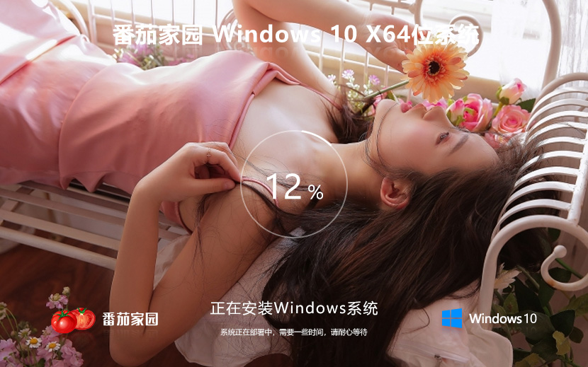 番茄花園win10系統 戴爾筆記本專用系統 windows10 64位 iso ghost 系統