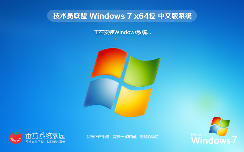 技術(shù)員聯(lián)盟Windows7 64位技術(shù)專業(yè)版 永久激活 官網(wǎng)鏡像下載