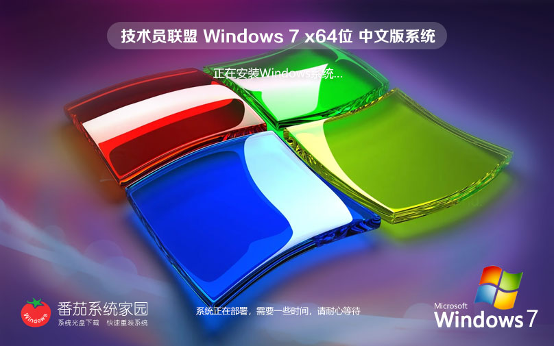 技術(shù)員聯(lián)盟win7企業(yè)版 Windows7完美裝機版 ghost x64位下載