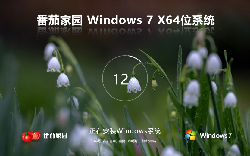 windows7企業(yè)版下載 番茄花園win7 x64位裝機版 ghost系統(tǒng)