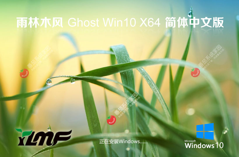 win10專(zhuān)業(yè)版激活密鑰 雨林木風(fēng)系統(tǒng)下載 64位 筆記本專(zhuān)用下載