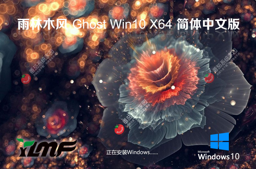 雨林木風(fēng)win10家庭版 x64位系統(tǒng)下載 永久激活 ghost鏡像