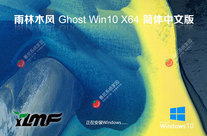 雨林木風(fēng)windows10專業(yè)版 ghost鏡像 x64位精簡版下載 筆記本專用