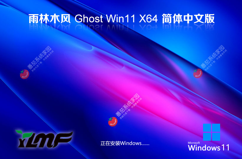 雨林木風win11家庭版 x64位中文版下載 永久免費 Ghost鏡像