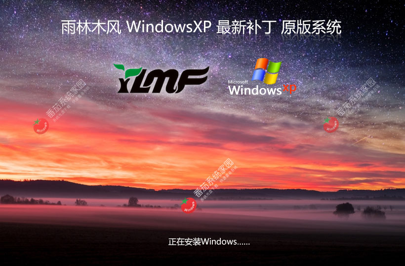 雨林木風(fēng)windowsxp sp3 最新版系統(tǒng) winxp旗艦版下載(已打sp3補(bǔ)丁)