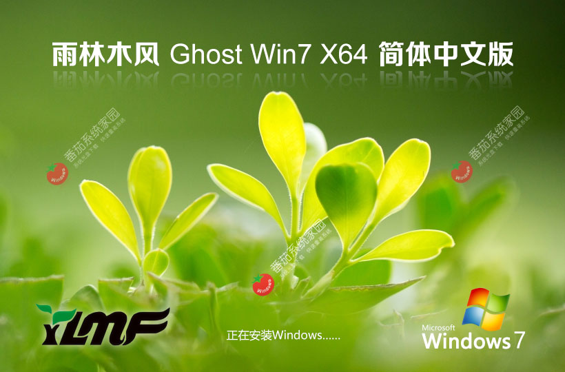 Windows7穩(wěn)定最新版下載 雨林木風x64位簡體中文版 GHOST鏡像下載 v2023