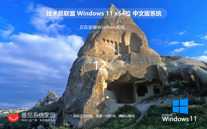 Windows11官方專業(yè)版 技術(shù)員聯(lián)盟x64位下載 Ghost系統(tǒng) ISO鏡像下載