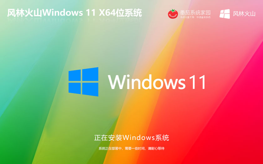 Windows11正式企業(yè)版下載 風(fēng)林火山 激活密鑰 X64位簡體中文版下載