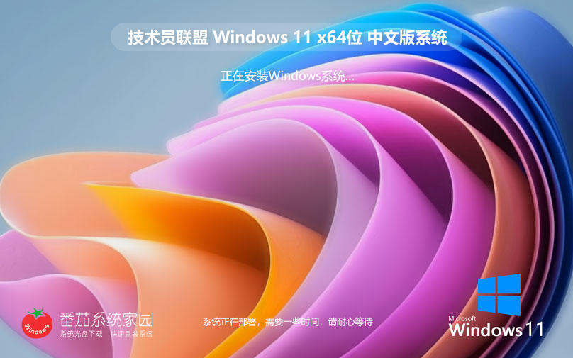 win11企業(yè)正式版下載 技術(shù)員聯(lián)盟 x64位經(jīng)典版下載 華碩筆記本專(zhuān)用下載