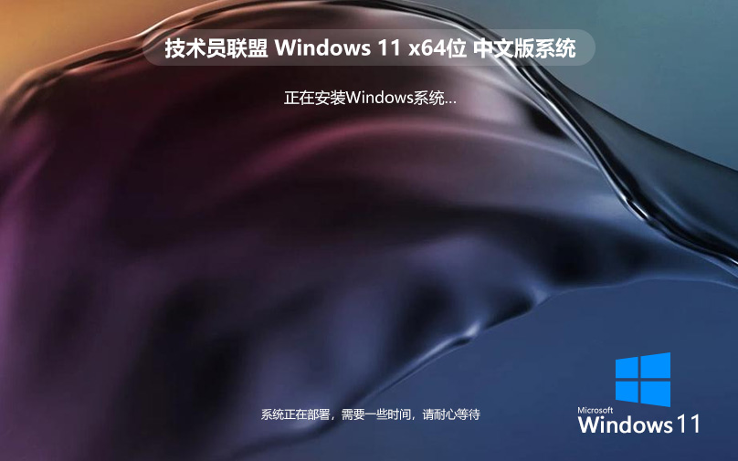 技術(shù)員聯(lián)盟win11企業(yè)版下載 免激活工具 x64位系統(tǒng)下載 GHOST鏡像