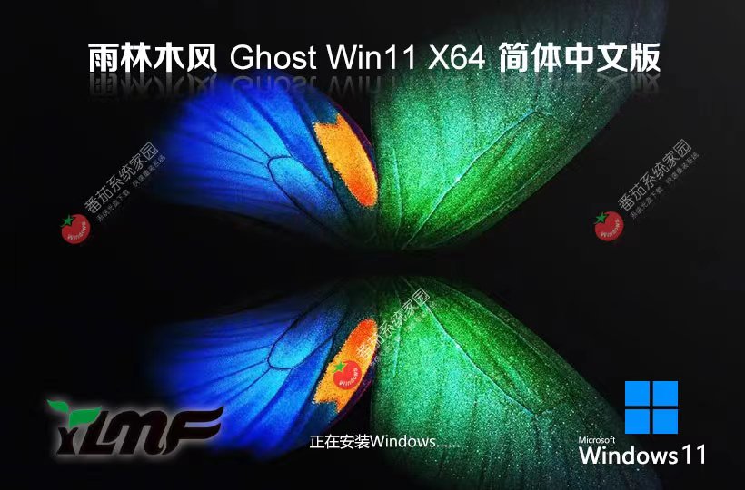 Windows11游戲版下載 雨林木風(fēng)智能安裝版 ISO鏡像 筆記本專用下載