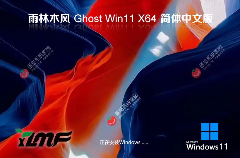 雨林木風(fēng)win11高速版 x64位家庭版下載 永久免費 ghost系統(tǒng)下載 v2023