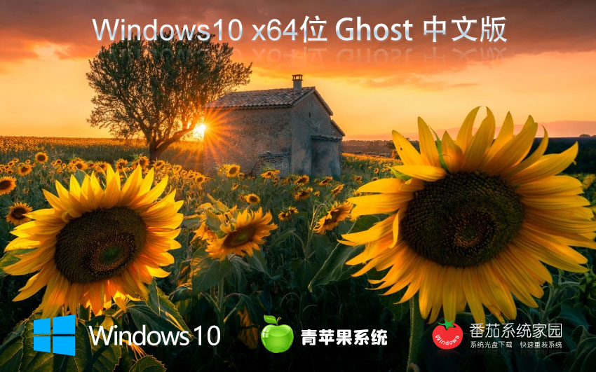 青蘋(píng)果系統(tǒng)win10增強(qiáng)版 x64位穩(wěn)定版下載 ghost系統(tǒng)下載 戴爾筆記本專(zhuān)用