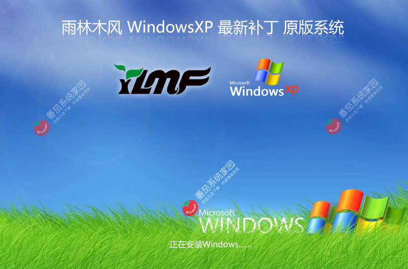 WinXP游戲?qū)Ｓ孟到y(tǒng)下載 雨林木風(fēng)x86高效版 ghost系統(tǒng)下載 聯(lián)想電腦專用