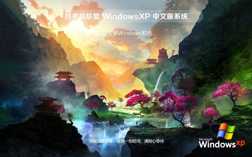 x86智能安裝版下載 技術員聯(lián)盟ghost鏡像 WinXP專業(yè)版下載 免激活工具