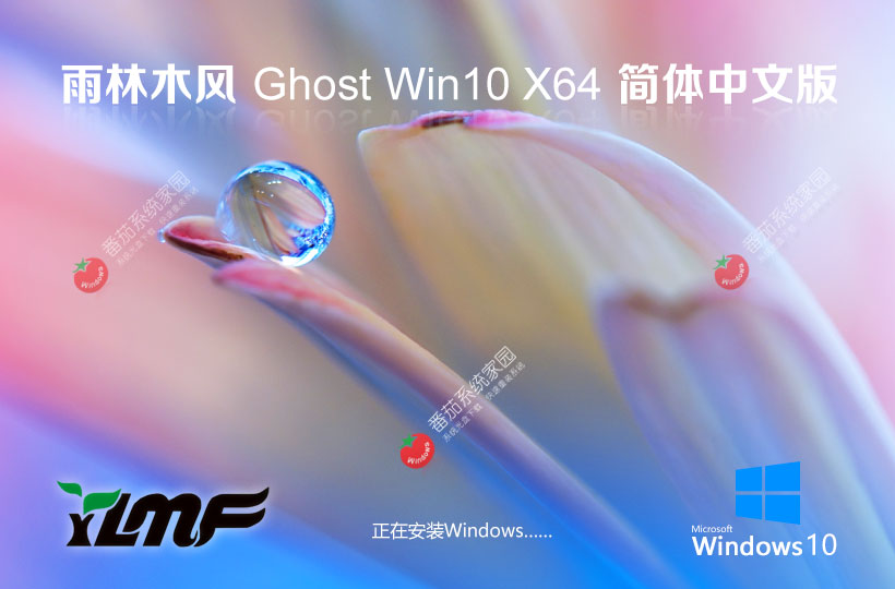 雨林木風x64游戲專用版 win10電競戰(zhàn)斗版 ghost鏡像下載 免激活工具