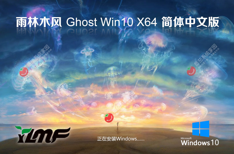 Windows10電競戰(zhàn)斗版下載 雨林木風(fēng)最新游戲版 x64位免密鑰 戴爾筆記本專用下載