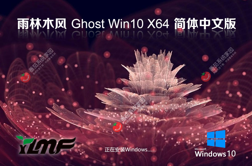 雨林木風(fēng)win10游戲?qū)Ｓ孟到y(tǒng) x64位大師版下載 免激活密鑰 GHOST鏡像下載