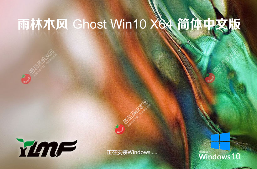 雨林木風Win10旗艦版 戴爾筆記本專用下載 GHOST鏡像 64位完美裝機版下載