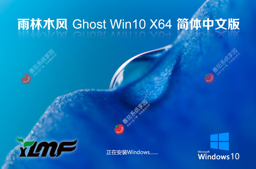 雨林木風(fēng)x64位精簡(jiǎn)版 Windows10純凈版下載 ghost鏡像 筆記本專用下載