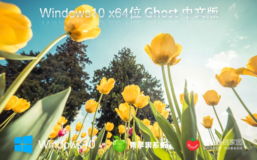 Windows10企業(yè)版下載 青蘋果系統(tǒng) x64位永久免費下載 GHOST鏡像 v2023