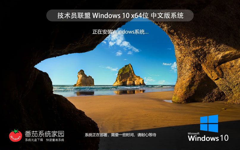 win10官方純凈版系統(tǒng) 技術(shù)員聯(lián)盟超級通用版下載 x64位 免激活工具下載