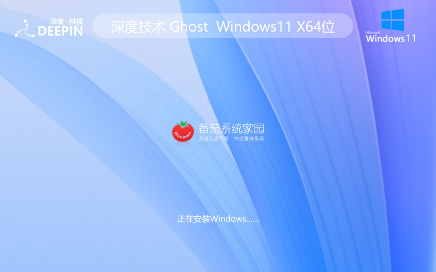 深度技術win11智能安裝版 x64位穩(wěn)定版下載 免激活工具 iso鏡像下載