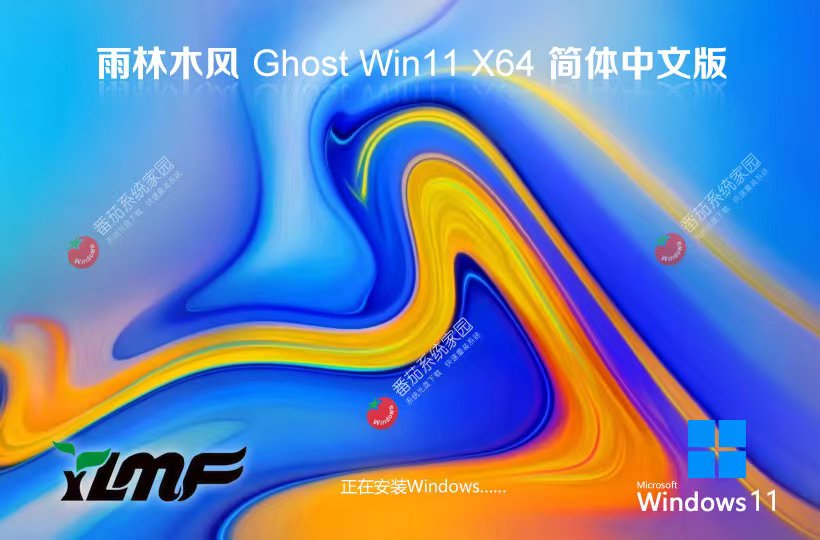 Windows11無(wú)病毒大神版下載 雨林木風(fēng) 64位專業(yè)版下載 ghost鏡像