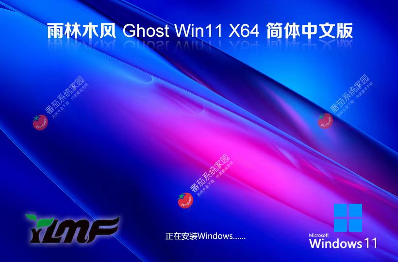 雨林木風x64通用版下載 Windows11游戲專用系統 ghost系統下載 戴爾筆記本專用