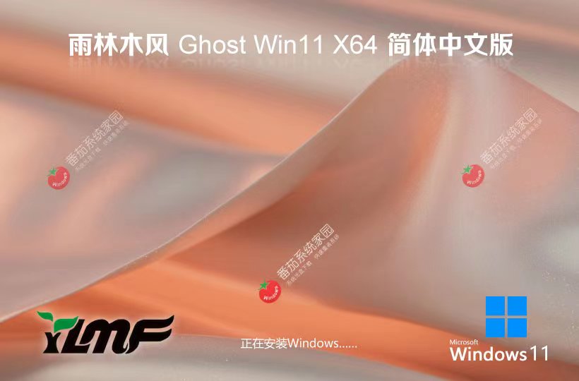 雨林木風(fēng)x64游戲版 win11無(wú)憂(yōu)全能版下載 ghost鏡像 免激活工具下載