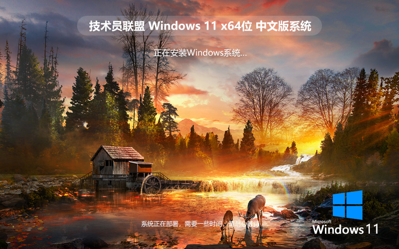 技術(shù)員聯(lián)盟Win11純凈版 x64嘗鮮裝機版下載 免激活工具 ghost鏡像下載