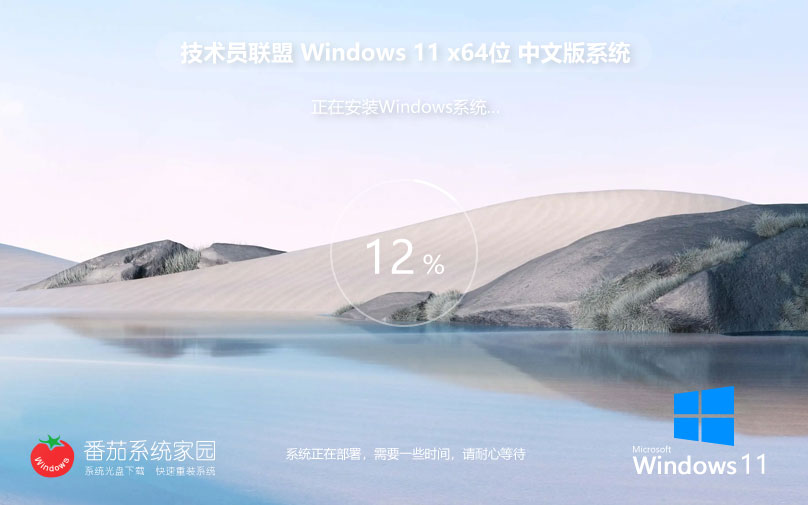 技術員聯盟win11家庭版 x64位增強版下載 無需激活碼 iso鏡像下載