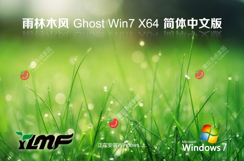 雨林木風Windows7純凈版 x64位極速版下載 永久免費 ghost系統(tǒng)下載