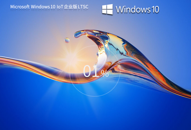 大地系統(tǒng) Windows10 企業(yè)版 LTSC V2023.11