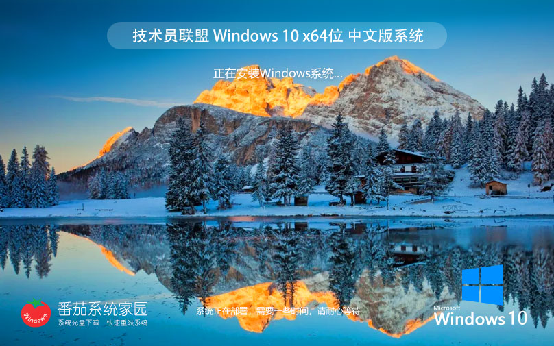 【安全防護】技術員 Win10 22H2 64位 專業(yè)安全版ISO鏡像