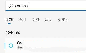 Windows 11系统中语音识别功能的启用教学