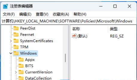 如何在Windows 11系统中完全禁用Windows Copilot功能